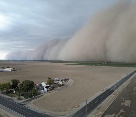 Tulare Irrigation District August 12, 2025