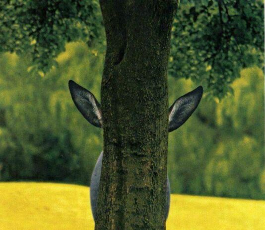 Water, Parks & Wildlife Committee April 29, 2025