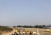 Friant Water Authority July 24, 2025