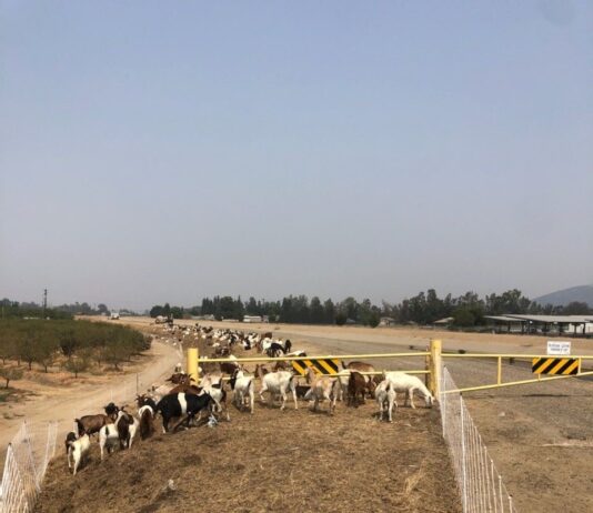 Friant Water Authority March 26, 2026