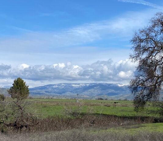 Tulare Irrigation District October 14, 2025