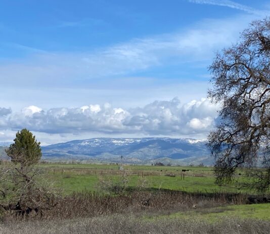 Tulare Irrigation District October 14, 2025