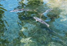 Urban Water Institute Conference Part Three