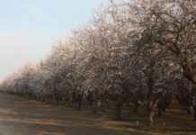 Madera County GSA Committee Meeting – February 2, 2026