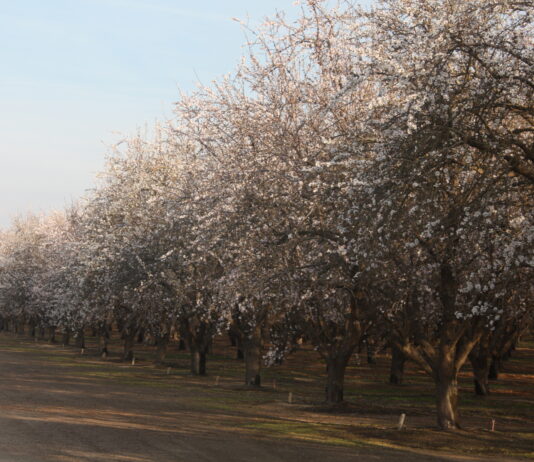 From Our Farm to Yours: The Rooted Story of Farmers Fertilizer
