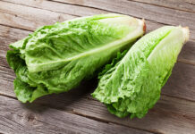 Desert Control’s Liquid Natural Clay Increase Salinas Valley Romaine Yields August 11, 2026
